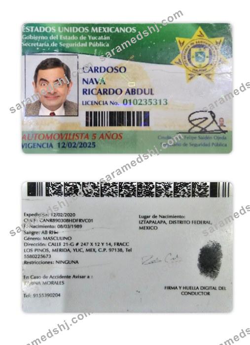 Mexico Yucatan state driving license